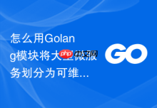 怎么用Golang模块将大型微服务划分为可维护包