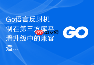 go语言反射机制在第三方库平滑升级中的兼容适配