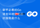 新手必看的Go语言环境搭建避坑指南是什么
