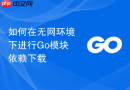 如何在无网环境下进行Go模块依赖下载