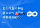 怎么排查因系统最大文件打开数限制导致的Golang模块依赖下载进程中断