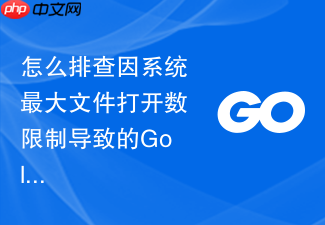 怎么排查因系统最大文件打开数限制导致的golang模块依赖下载进程中断