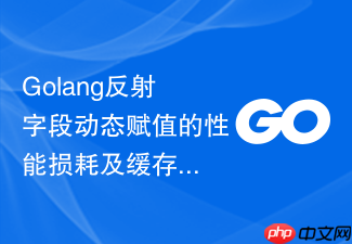golang反射字段动态赋值的性能损耗及缓存设计