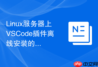 linux服务器上vscode插件离线安装的命令行指南