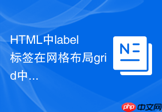 html中label标签在网格布局grid中的定位