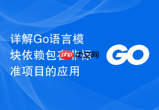 详解go语言模块依赖包在非标准项目的应用