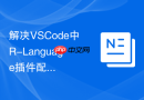 解决vscode中r-language插件配置路径不正确导致终端无法运行的问题