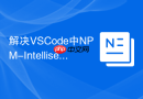 解决VSCode中NPM-Intellisense插件配置无提示的问题