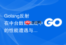 golang反射在中台数据集成中的性能遭遇与治理