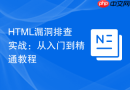 html漏洞排查实战:从入门到精通教程