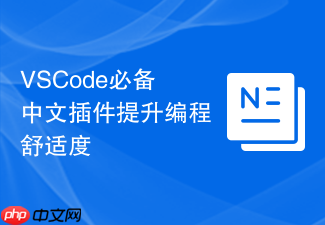 vscode必备中文插件提升编程舒适度