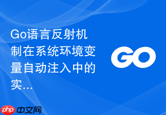 go语言反射机制在系统环境变量自动注入中的实践