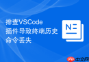 排查vscode插件导致终端历史命令丢失