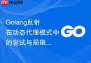 Golang反射在动态代理模式中的尝试与局限性