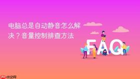 电脑总是自动静音怎么解决？音量控制排查方法