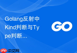 golang反射中kind判断与type判断的性能对比分析