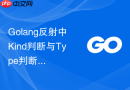 Golang反射中Kind判断与Type判断的性能对比分析