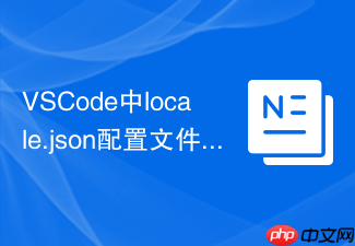 vscode中locale.json配置文件的作用与配置