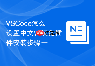 vscode怎么设置中文?汉化插件安装步骤一览