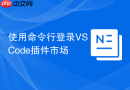 使用命令行登录VSCode插件市场