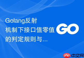 golang反射机制下接口值零值的判定规则与安全调用