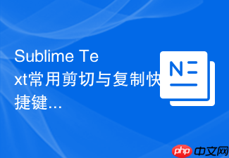 sublime text常用剪切与复制快捷键操作指南
