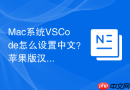 mac系统vscode怎么设置中文?苹果版汉化教程