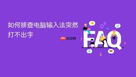 如何排查电脑输入法突然打不出字