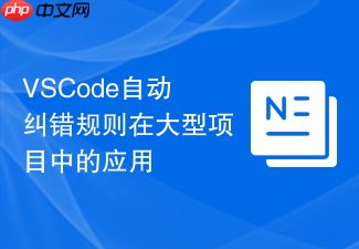 vscode自动纠错规则在大型项目中的应用