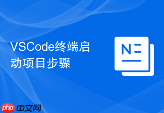 vscode终端启动项目步骤