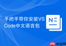 手把手带你安装VSCode中文语言包