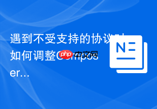 遇到不受支持的协议时如何调整composer install命令?