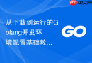 从下载到运行的Golang开发环境配置基础教程