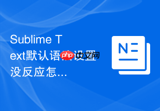 sublime text默认语法设置没反应怎么办?常见排查方法