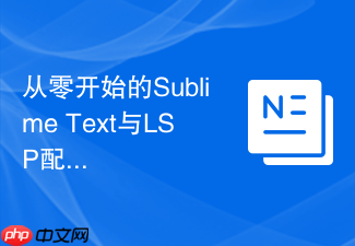 从零开始的sublime text与lsp配置速通教程