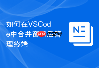 如何在vscode中合并窗口后管理终端
