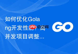 如何优化golang开发性能?高并发项目调整建议