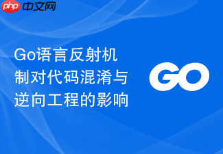 go语言反射机制对代码混淆与逆向工程的影响