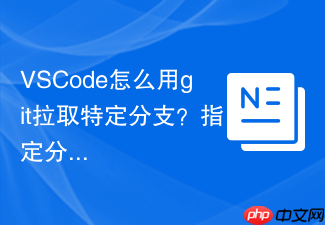 vscode怎么用git拉取特定分支?指定分支clone教程