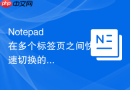 Notepad++在多个标签页之间快速切换的快捷键