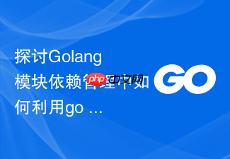 探讨golang模块依赖管理中如何利用go work协调多个微服务组件