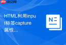 HTML利用input标签capture属性调用手机摄像头的方法