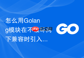 怎么用golang模块在不破坏向下兼容时引入泛型