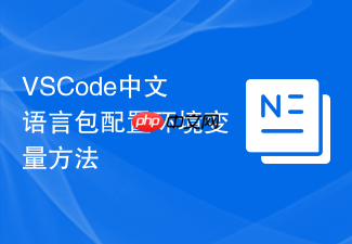 vscode中文语言包配置环境变量方法