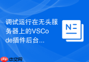 调试运行在无头服务器上的vscode插件后台