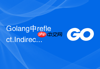 golang中reflect.indirect的作用与应用实例