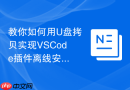 教你如何用U盘拷贝实现VSCode插件离线安装