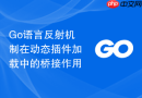 Go语言反射机制在动态插件加载中的桥接作用
