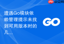 遭遇go模块依赖管理提示未找到可用版本时的几种排查思路