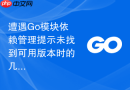 遭遇Go模块依赖管理提示未找到可用版本时的几种排查思路